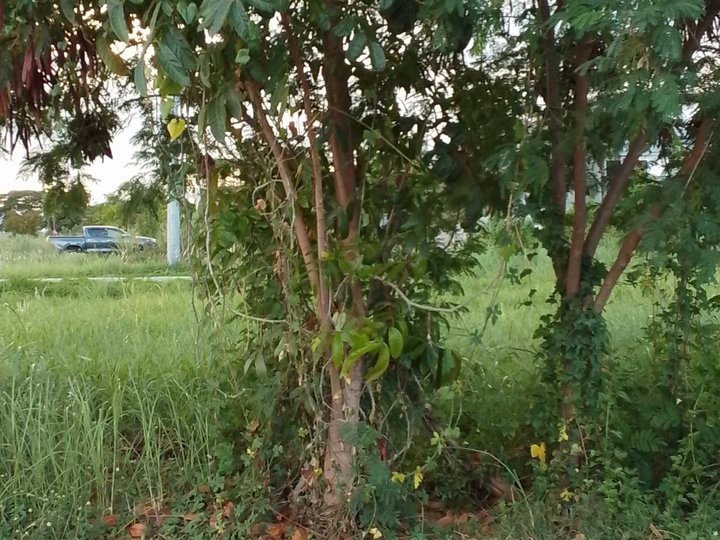 I'm selling 158sqm. 4.34M 5yrs to pay ,residential lot in Highway2000,Taytay Rizal 09759663299