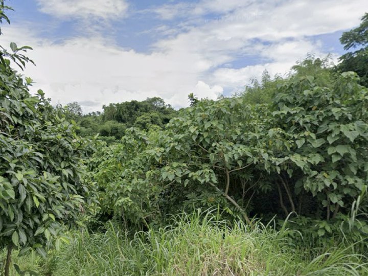 Spacious 199 sqm Buildable Lot in the Heart of Crescela Nuvali Clean & Green Living