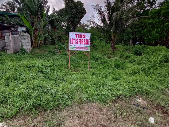 1200sqm lot along national highway for sale in digos davao del sur