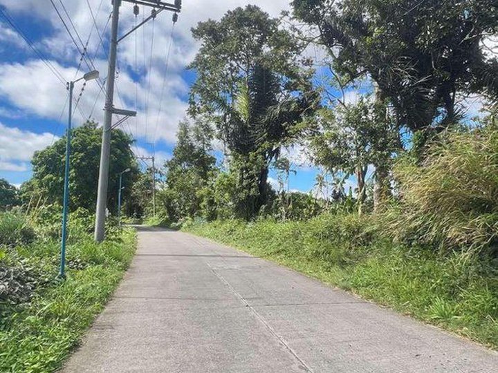 250sqm Residential Farm Lot for sale in Alfonso near Tagaytay