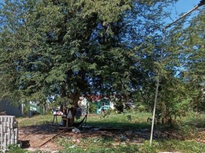 Foreclosed 100 sqm Residential Lot For Sale in Calamba Laguna