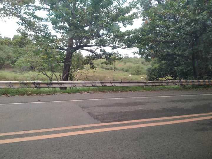 2.6 hectares Commercial Lot For Sale in Pililla Rizal