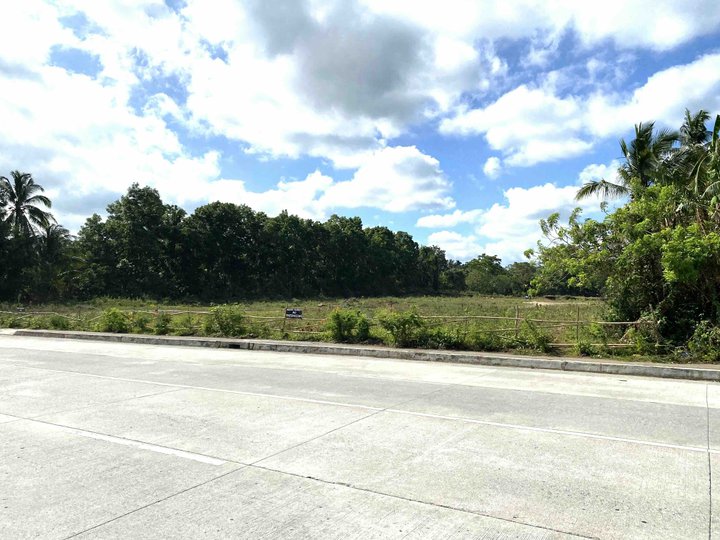 2 Titled lots 1.49Ha. 70m+ frontage to EastWest Road. ONLY P6.5k/sqm