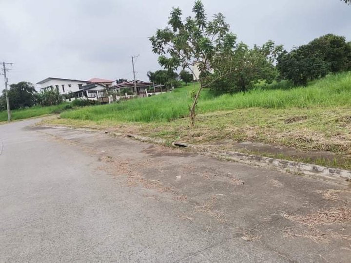 Residential lot for sale by owner Tropical Green Subdivision