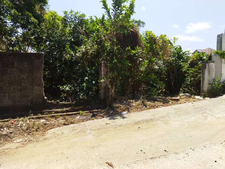 1,437 sqm Residential Lot For Sale in Dasmarinas Cavite