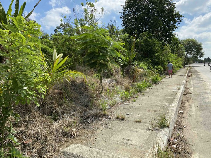 1000sqm TITLED Lot For Sale East West Road, Amadeo, ONLY P8.5k/sqm