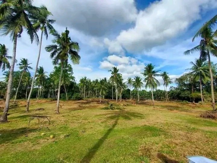 Subdivision Lots for Investment 120 sqm