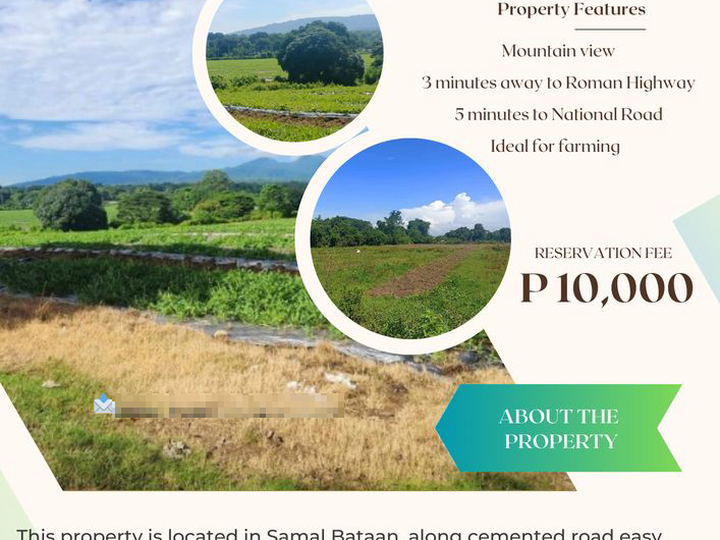 Farm Lot Investment in Samal Bataan
