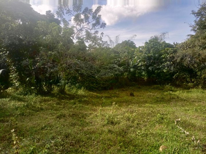 Farm Lot for retirement investment or vacation house near Tagaytay