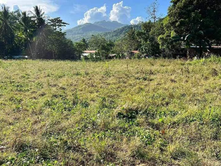 Lot Space For Sale