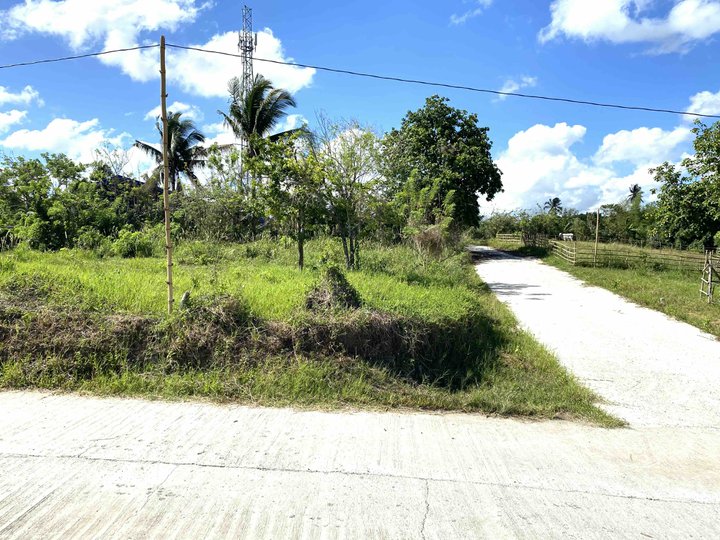 1000sqm Corner Lot, Amadeo, Cavite. P10k/sqm. Commercial / Residential