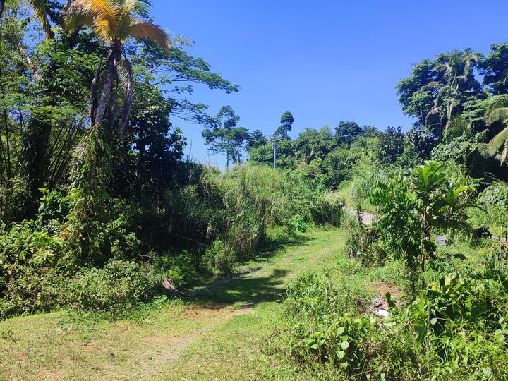 Stunning 2600 sqm lot in an upcoming area of Tandag, Surigao Del Sur