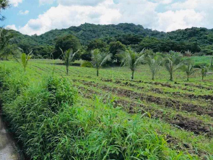 1,010 sqm Residential Farm For Sale in Nasugbu Batangas