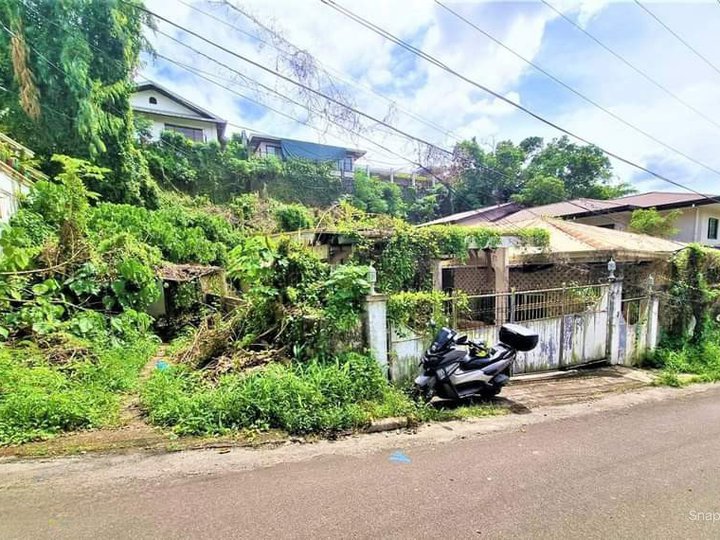 950 sqm Residential Lot For Sale in Maria Luisa Banilad Cebu City Cebu