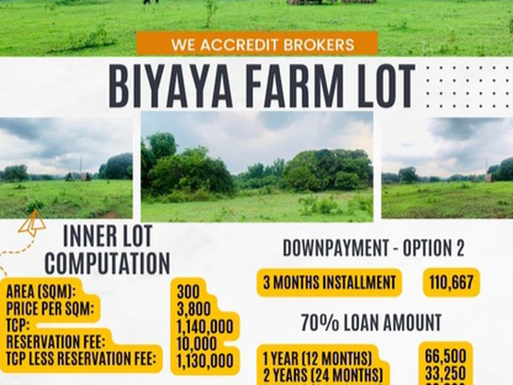 minimum 300sqm cut Farm Lot with free kubo for every client with 30% dp or total TCP