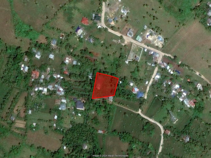 1,850 sqm Residential Farm For Sale in Dumanjug Cebu