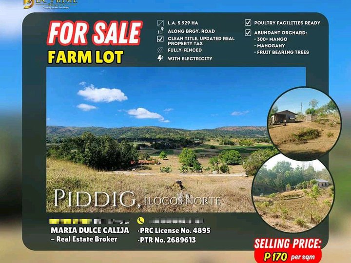 5.9 sqm Agricultural Farm For Sale in Piddig Ilocos Norte