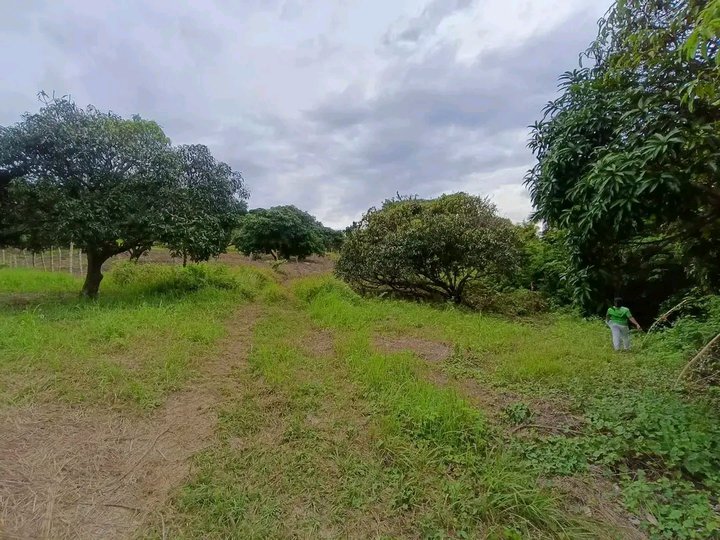 1,000 sqm Raw Land For Sale in Carcar Cebu