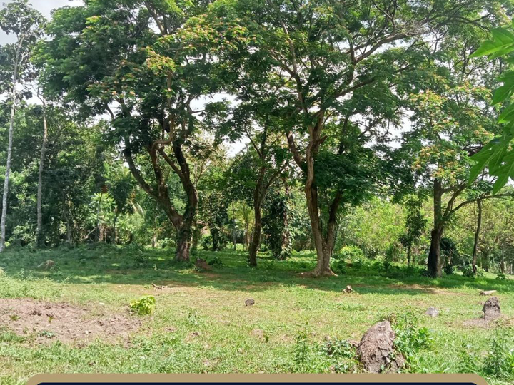 9,768 sqm Agricultural Farm For Sale in Padre Garcia Batangas