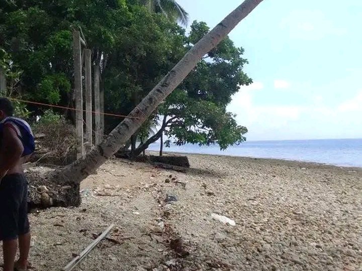 135 sqm Beach Property For Sale in Poro Cebu