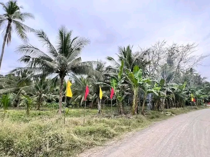 150sqm residential lot Benigwayan Alubijid installment