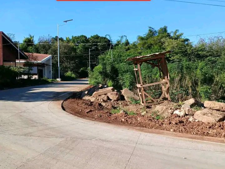 150sqm Residential lot installment Alae Manolo fortich Bukidnoon mis.or