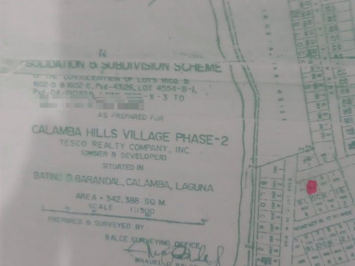 160 SQM residential lot for sale in calamba laguna