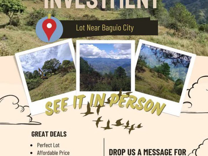 100 sqm Lot For Sale in Itogon Benguet