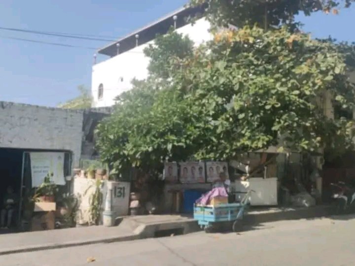 240 sqm Residential / Commercial Lot For sale in Laspinas