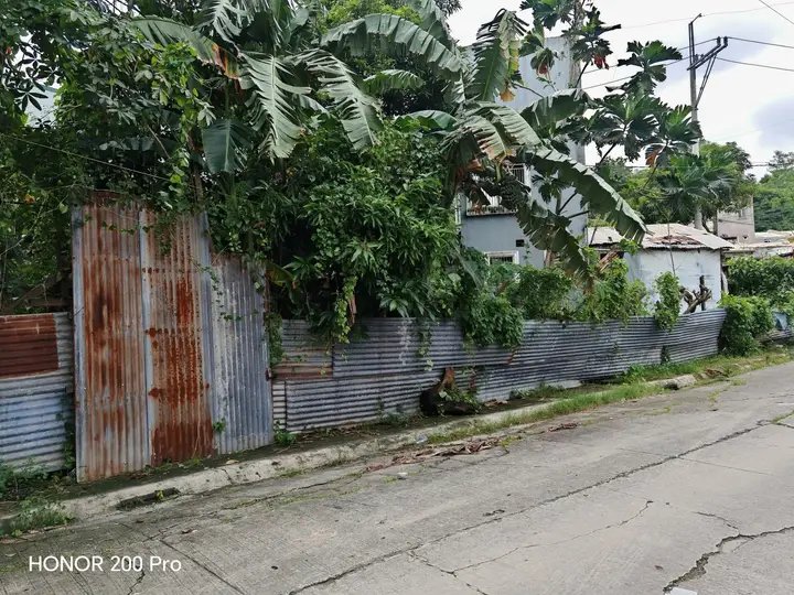 211 sqm raw land in buoacan