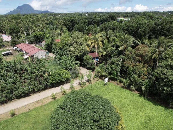 Over 6217 Square Meter Agricultural Farm Lot in Lipa, Batangas