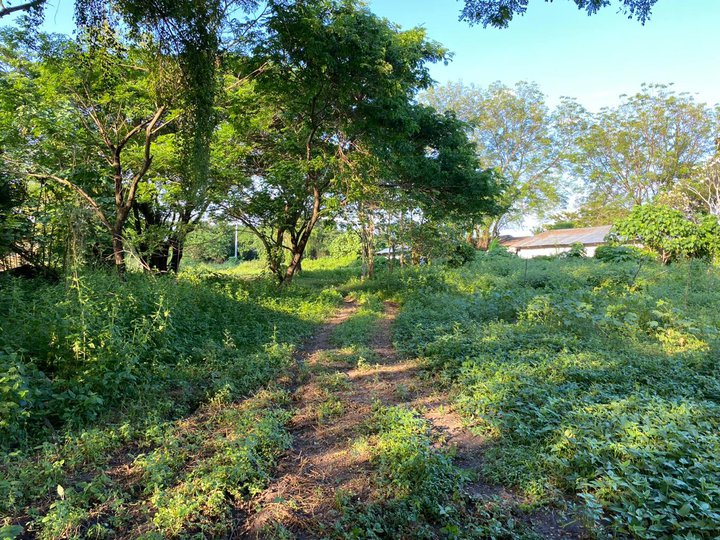 For Sale Agricultural Lot in Tarlac City - CRS0327