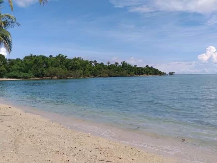 Premium Beachfront Lots in Padre Burgos, Quezon