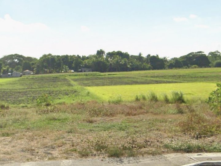 181 sqm Clear-Cut Lot Now Available in Crescela Nuvali Peace & Privacy Guaranteed
