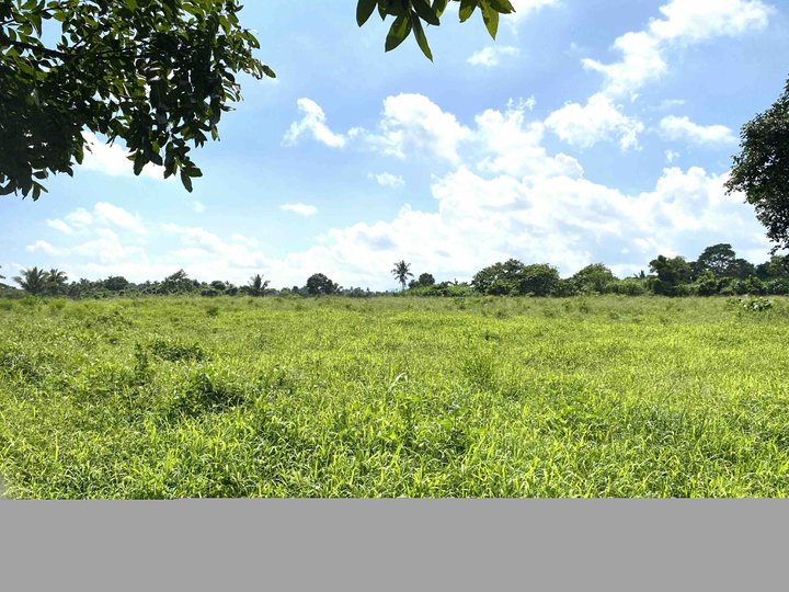 1.7ha agricultural Titled lot for sale. East West Road, Silang. P5.5k/sqm