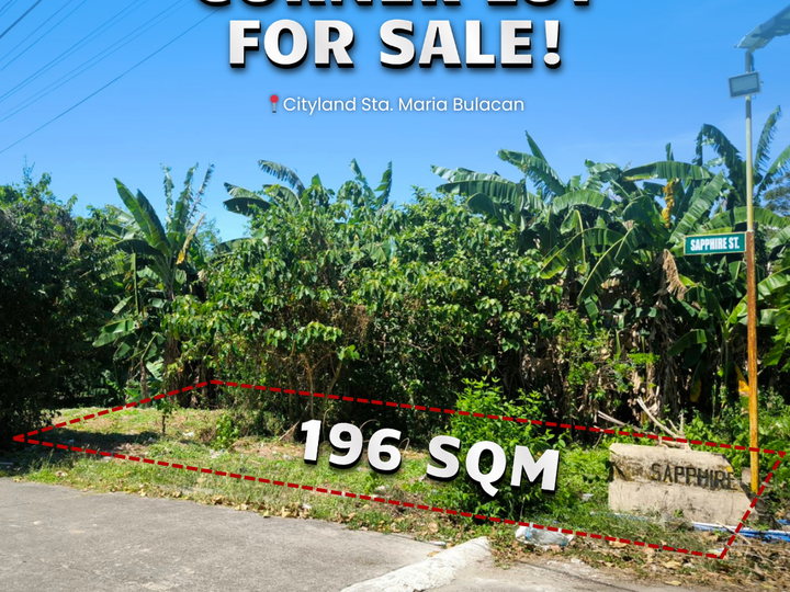 196 sqm Residential Lot For Sale in Santa Maria Bulacan