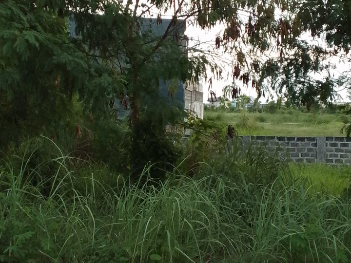I'm selling 196sqm. 5.39M 10yrs to pay ,residential lot in Highway2000,Taytay Rizal 09759663299