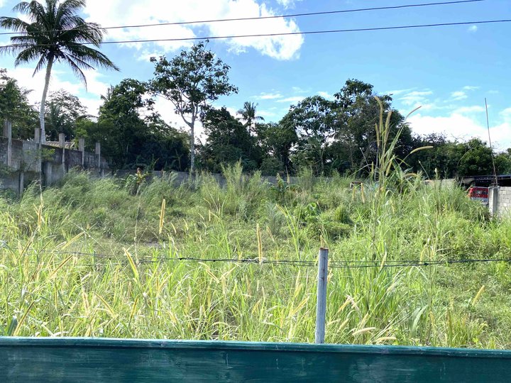 1200sqm lot for sale with 35m frontage to Crisanto, Amadeo. P18m