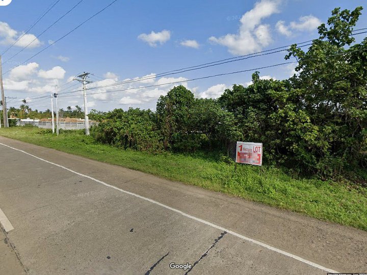 1 HECTARE LOT FOR SALE