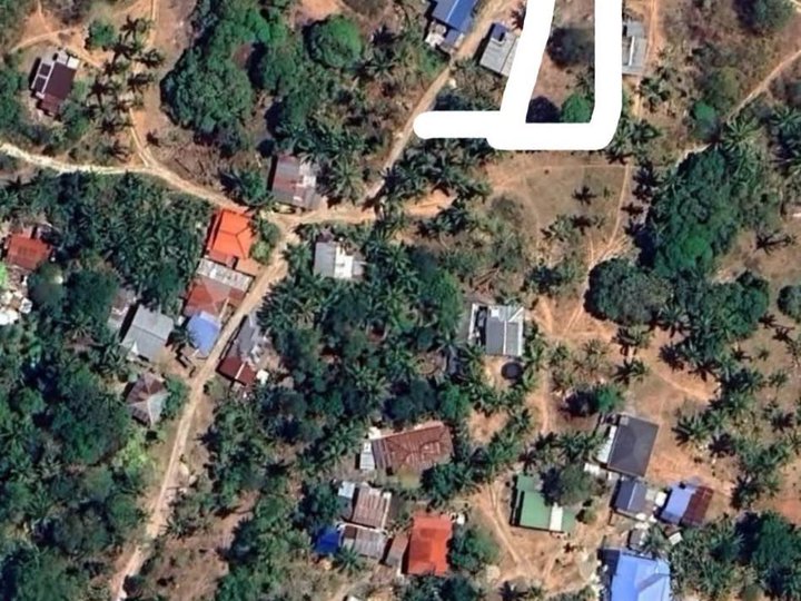 1,044 sqm Residential Farm For Sale in Dauis Bohol