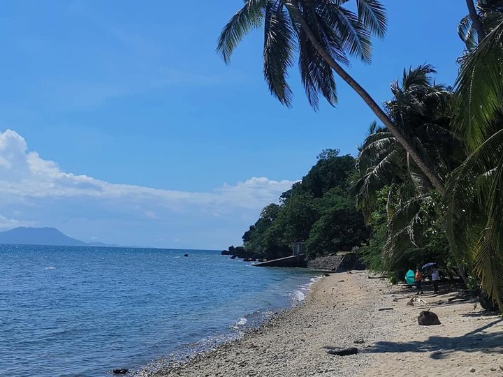 6,000 sqm Beach Lot For Sale in Lobo Batangas