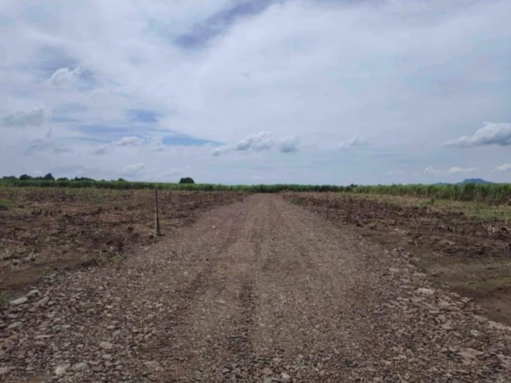 FARM LOTS AVAILABLE IN TUY BATANGAS