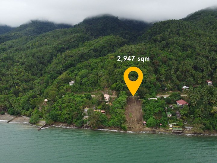 2,947 Beach Property for Sale in Samal Island, Davao