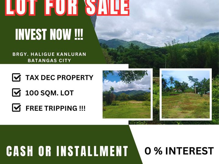 LOT FOR SALE -300 sqm Residential Farm For Sale in Batangas City Batangas