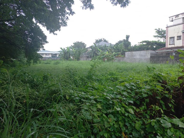 785sqm Residential lot for Sale in Multinational Village Brgy Moonwalk Paranaque City