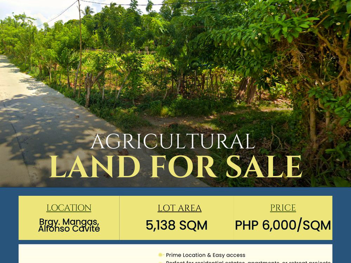 PRIME INVESTMENT OPPORTUNITY IN BRGY MANGAS, ALFONSO, CAVITE
