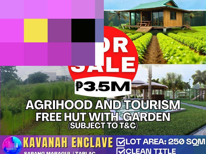 Agrihood Communities 250 sqm for Sale in Tarlac City