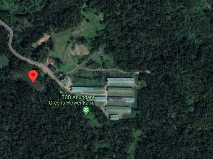 3 Hectares  Farm Lot for Sale in Brgy Tiawe Lucban Quezon