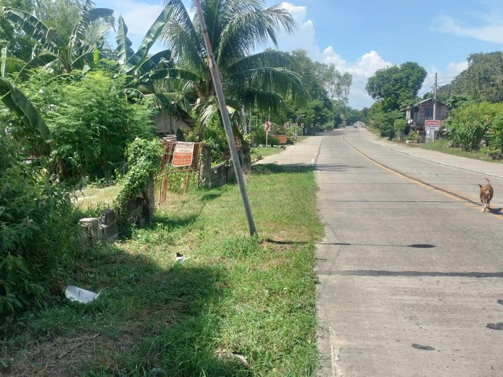 5087 SQM Beach Property in Luyang San Remigio Cebu