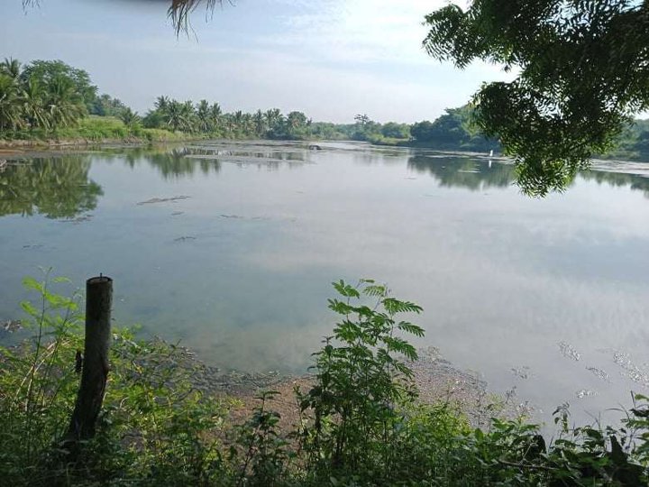 2.4-hectare Farm Lot with Brackish Fishpond and a House (Lucena City, Quezon)